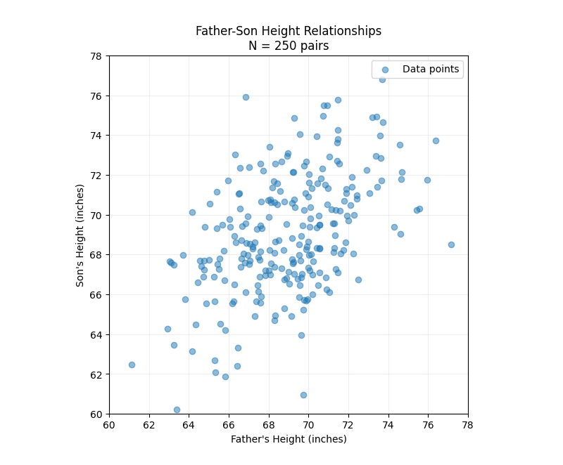 Father son height raw data