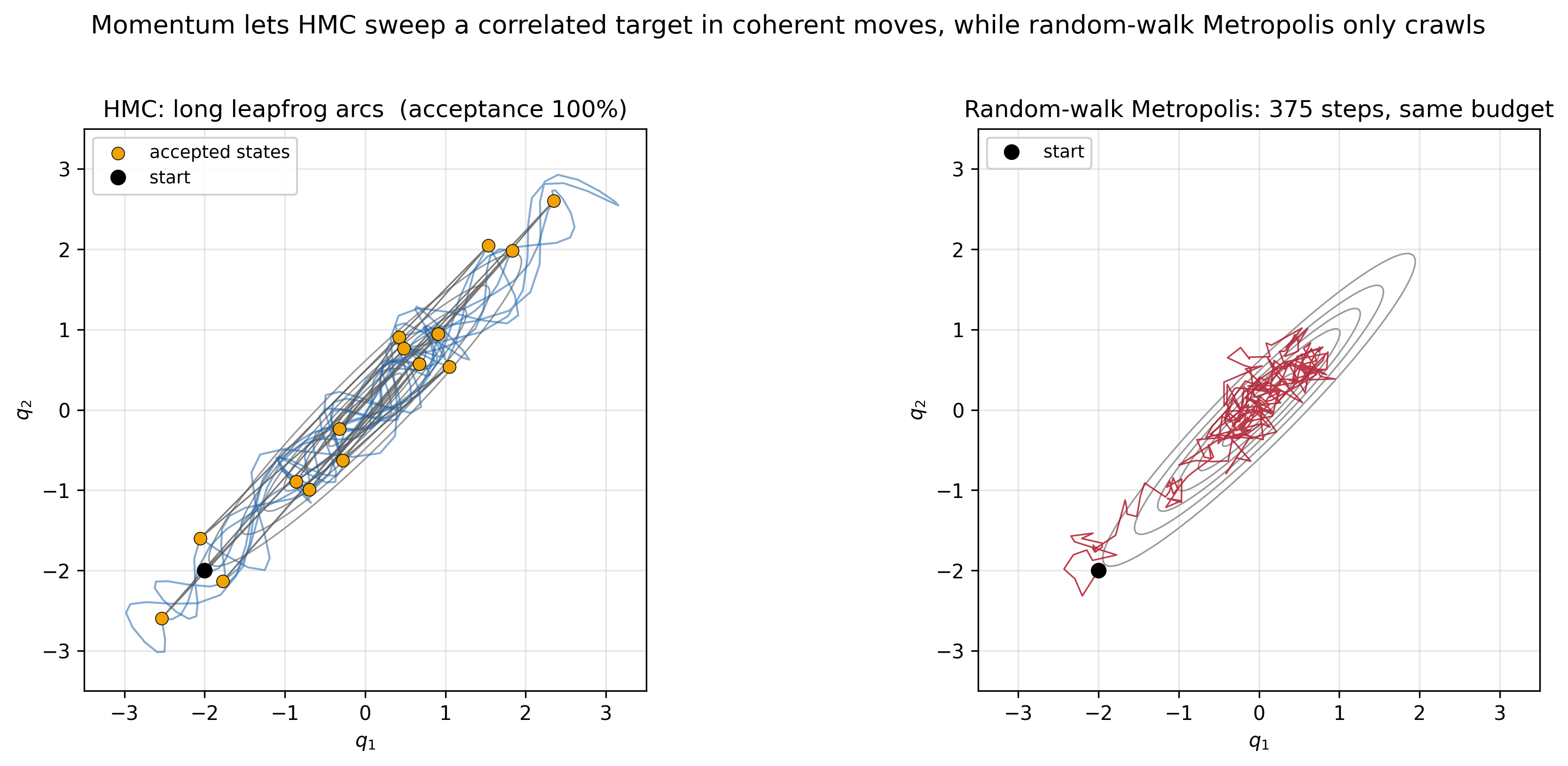 Left: Hamiltonian Monte Carlo on a strongly correlated two-dimensional Gaussian; leapfrog trajectories sweep in long coherent arcs along the correlation ridge, with accepted states marked. Right: random-walk Metropolis given the same computational budget, crawling slowly near its starting point and barely exploring the target.