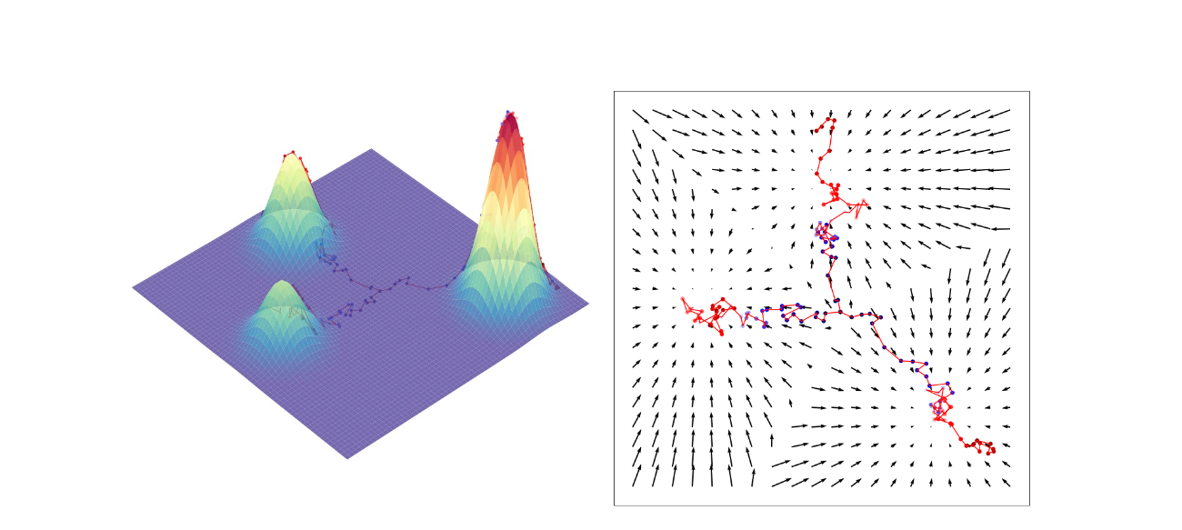 Score as a force field