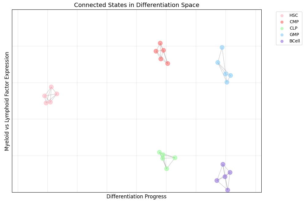 Connected states in cell differentiation